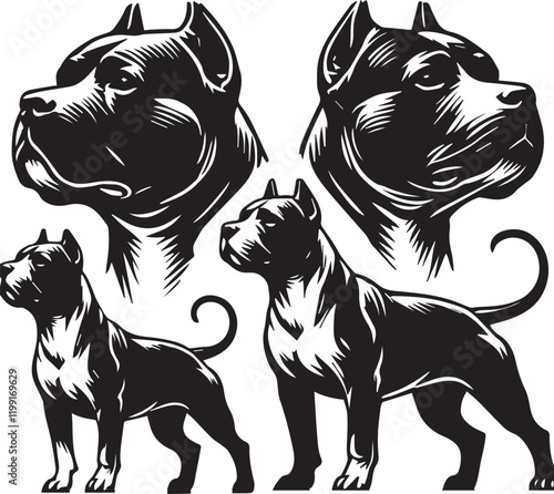 Pitbull dog vector illustration in black and white