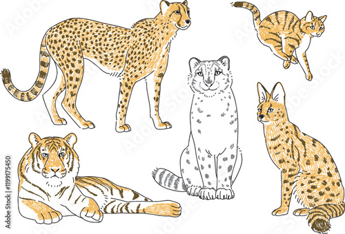 ネコ科の動物たちの手描きイラストセット