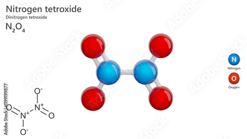 Molecule: Nitrogen Tetroxide. Oxidising agent. Molecular structure. Formula: N2O4. Chemical model: Ball and stick. White background. 3D illustration. photo