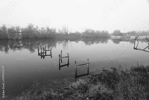 Pialassa dei Piomboni in the mist (Ravenna, Italy) photo