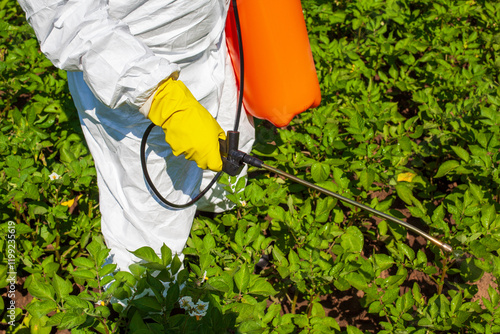 Obraz na plátně Farmer wearing protective clothing and gloves spraying vegetables with glyphosate herbicide or pesticide
