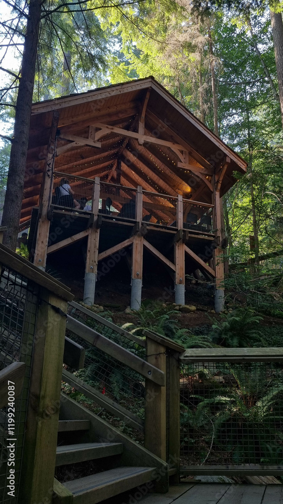 Beautiful scene of Capilano Suspension Bridge Park in Vancouver, BC. Beautiful scene of Capilano Suspension Bridge Park in Vancouver, BC.