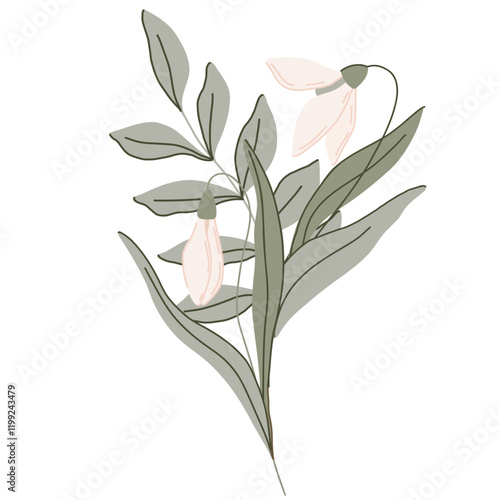 Elegant vector hand drawn flat botanical illustration with delicate snowdrop flowers with soft green leaves. The minimalistic style organic shapes and pastel colors, perfect for nature designs