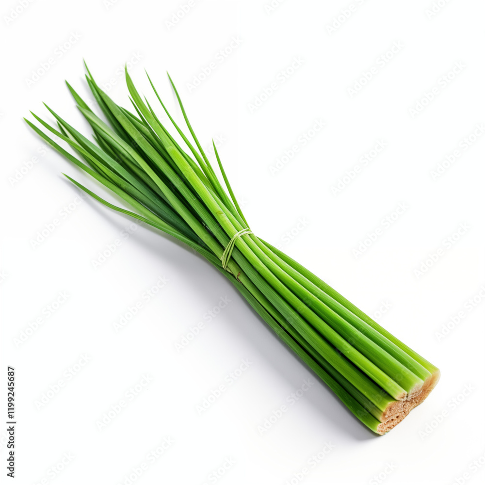 Fresh Pandan Leaves Bundle Tied White Background Fresh Pandan Leaves Bundle Tied White Background