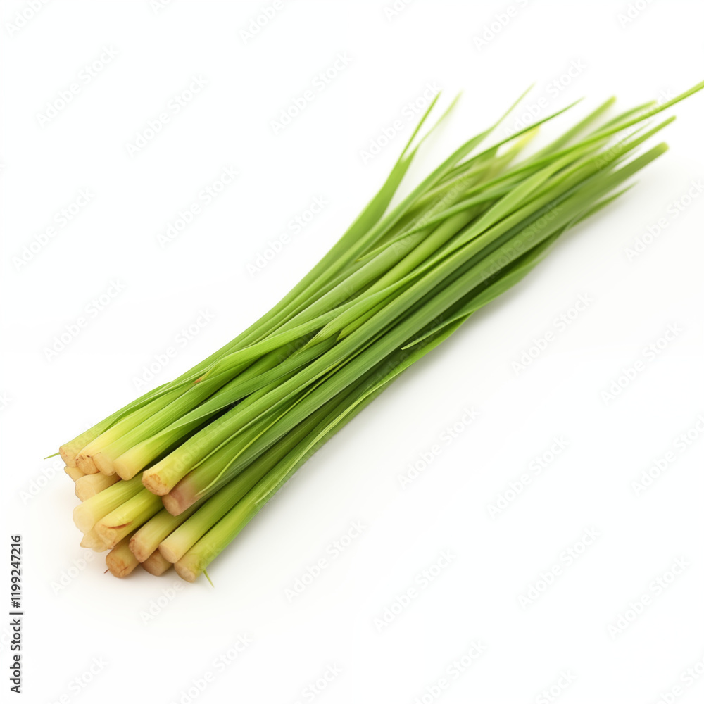 Fresh Lemongrass Stalks Bundle Closeup White Background Fresh Lemongrass Stalks Bundle Closeup White Background