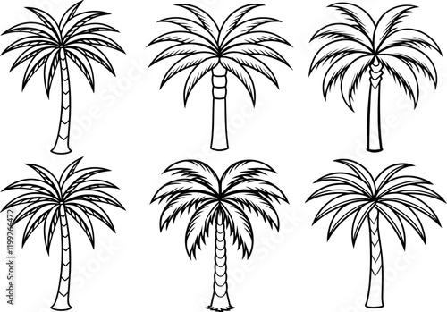 Set of date palm tree outline vector illustration line art