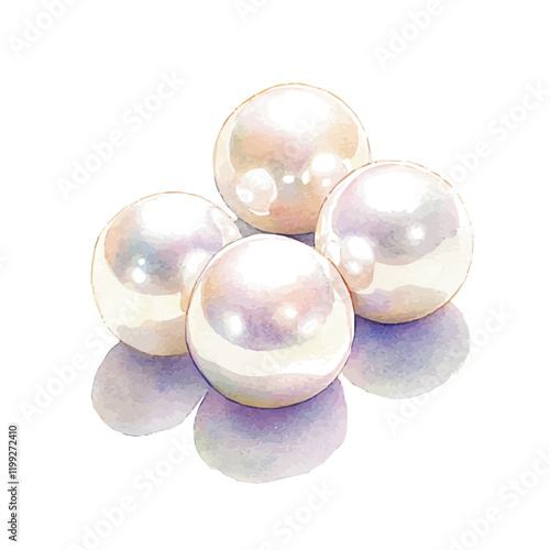 A watercolor vector painting of Akoya pearls shimmer beautifully in this, isolated on a white background.

