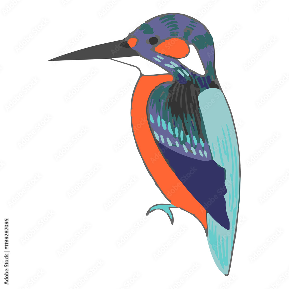 Obraz premium kingfisher vector illustration art work 