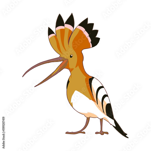 
woodpecker vector illustration art work photo