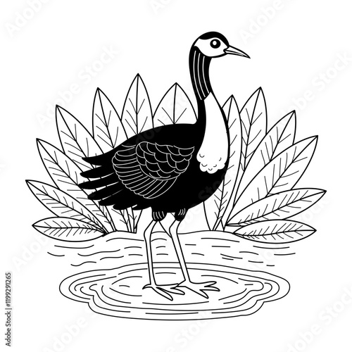 Jacana bird vintage style illustration
