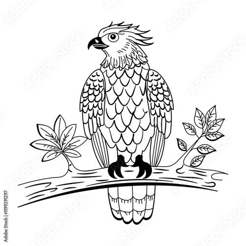 A vintage illustration of javan hawk sitting on branch