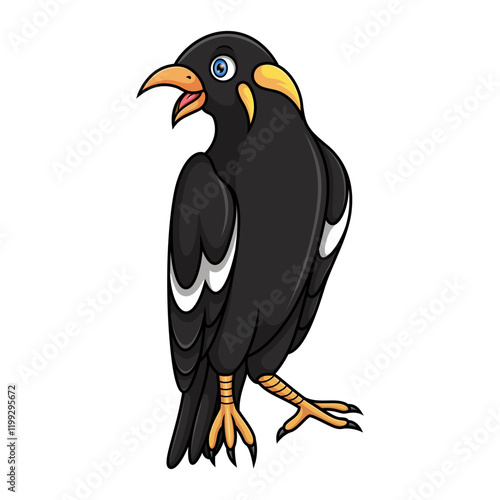 Cartoon myna bird on white background