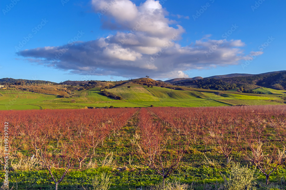 Fototapeta premium Picturesque Landscapes of Siliana Mountains