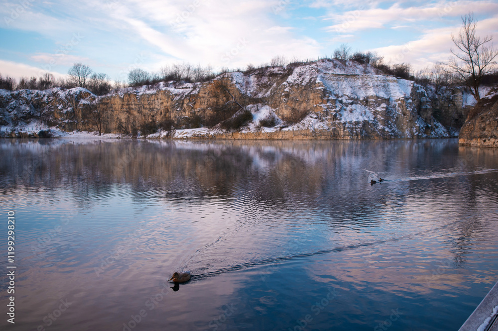 Naklejka premium Winter Lake with Ducks and Snowy Cliffs
