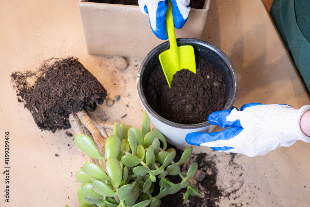 Woman is preparing to transplant houseplant. A woman holds a garden shovel in her hands and pours peat into a flower pot. Houseplant care, annual flower transplant. Woman is preparing to transplant houseplant. A woman holds a garden shovel in her hands and pours peat into a flower pot. Houseplant care, annual flower transplant.