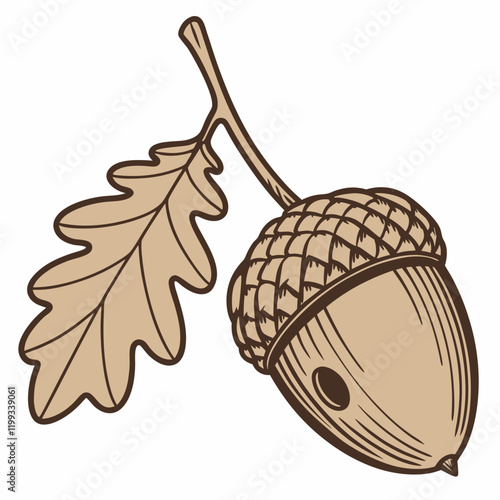 acorn cap with a tiny hole 