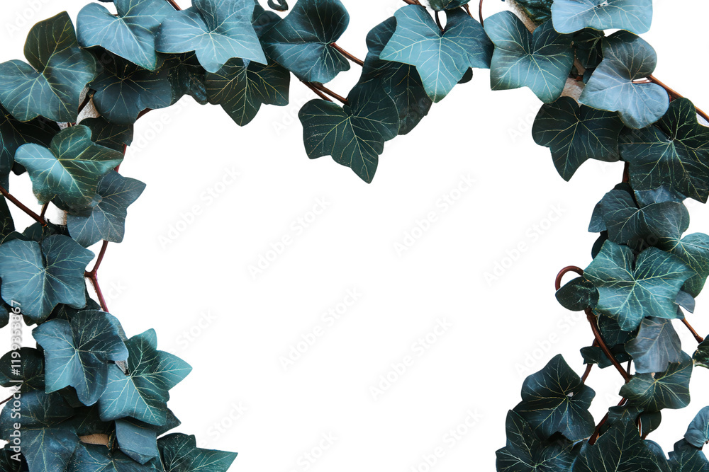 Fototapeta premium Lush green ivy leaves form a natural frame, perfect for adding a touch of nature to your designs. Isolated on white background for easy use.