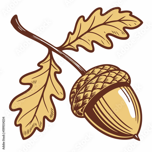 golden acorn