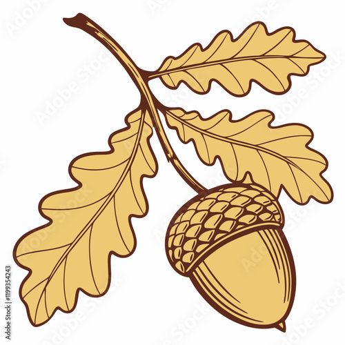 golden acorn