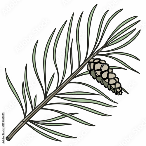 branch of pine