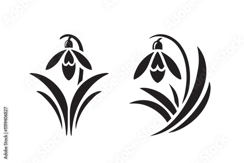 Snowdrop flower silhouette isolated on a white background