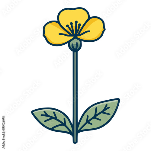 canola flower nature plant flat color vector illustration template design