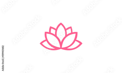 pink lotus flower