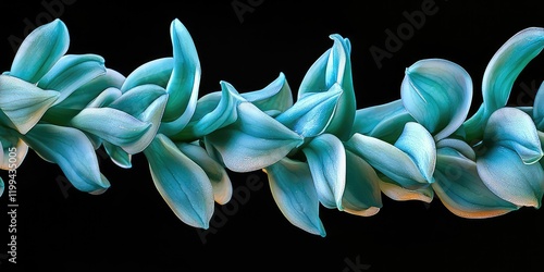 Jade Vine (Strongylodon macrobotrys) photo