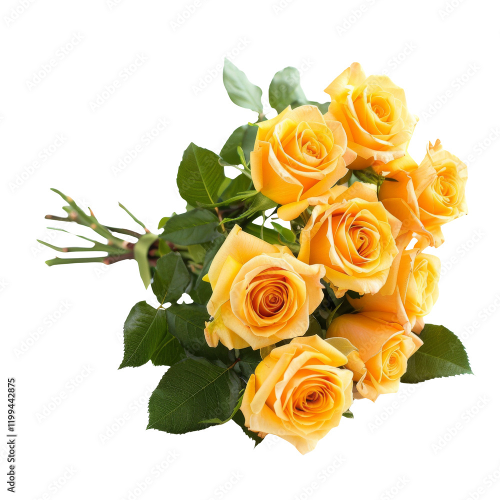 Bouquet of yellow roses valantine's isolated on transparent or white background Bouquet of yellow roses valantine's isolated on transparent or white background