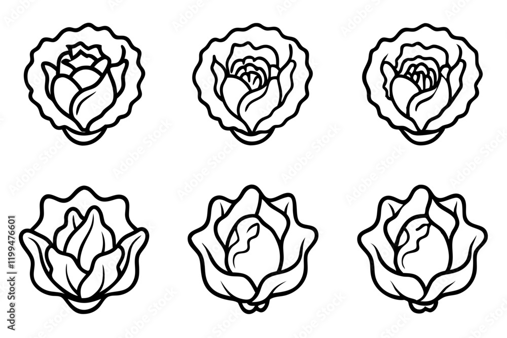 Lettuce Line Art Vector Bundle Lettuce Line Art Vector Bundle