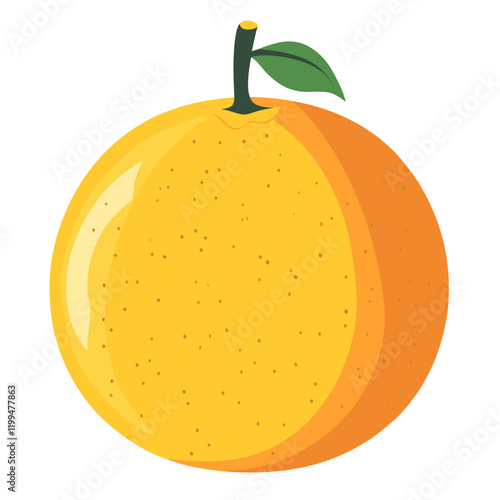 Orange illustration design fruit vector