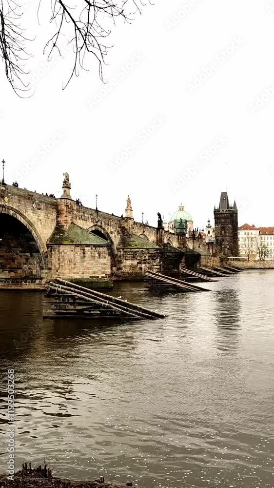 Seagulls flying close to the Charles Bridge above Vltava river Seagulls flying close to the Charles Bridge above Vltava river