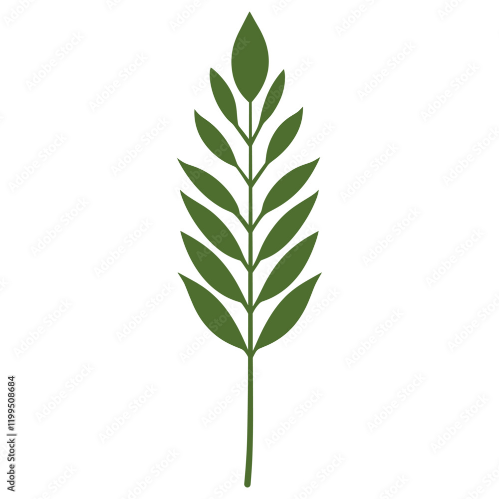 Fototapeta premium Green long linear leaf illustration simple minimalist vector