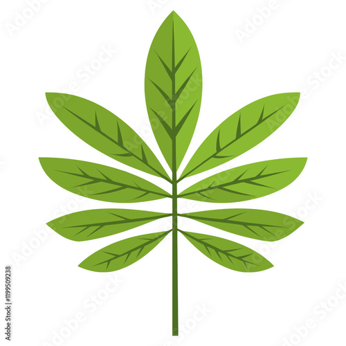 Star shape tropical leaf green illustration plant vector
