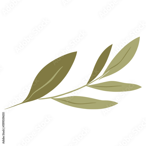 Olive leafs leaves art illustration vector