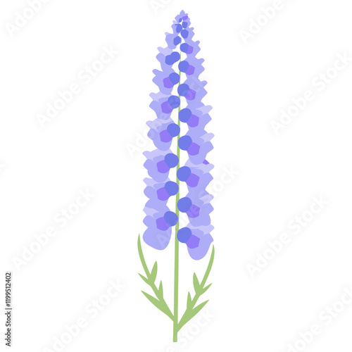 Delphinium flower illustration plant art vector