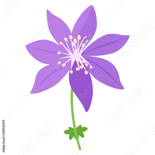 Columbine flower illustration purple petal vector