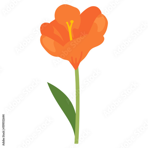 Canna lily flower illustration leaf art vector