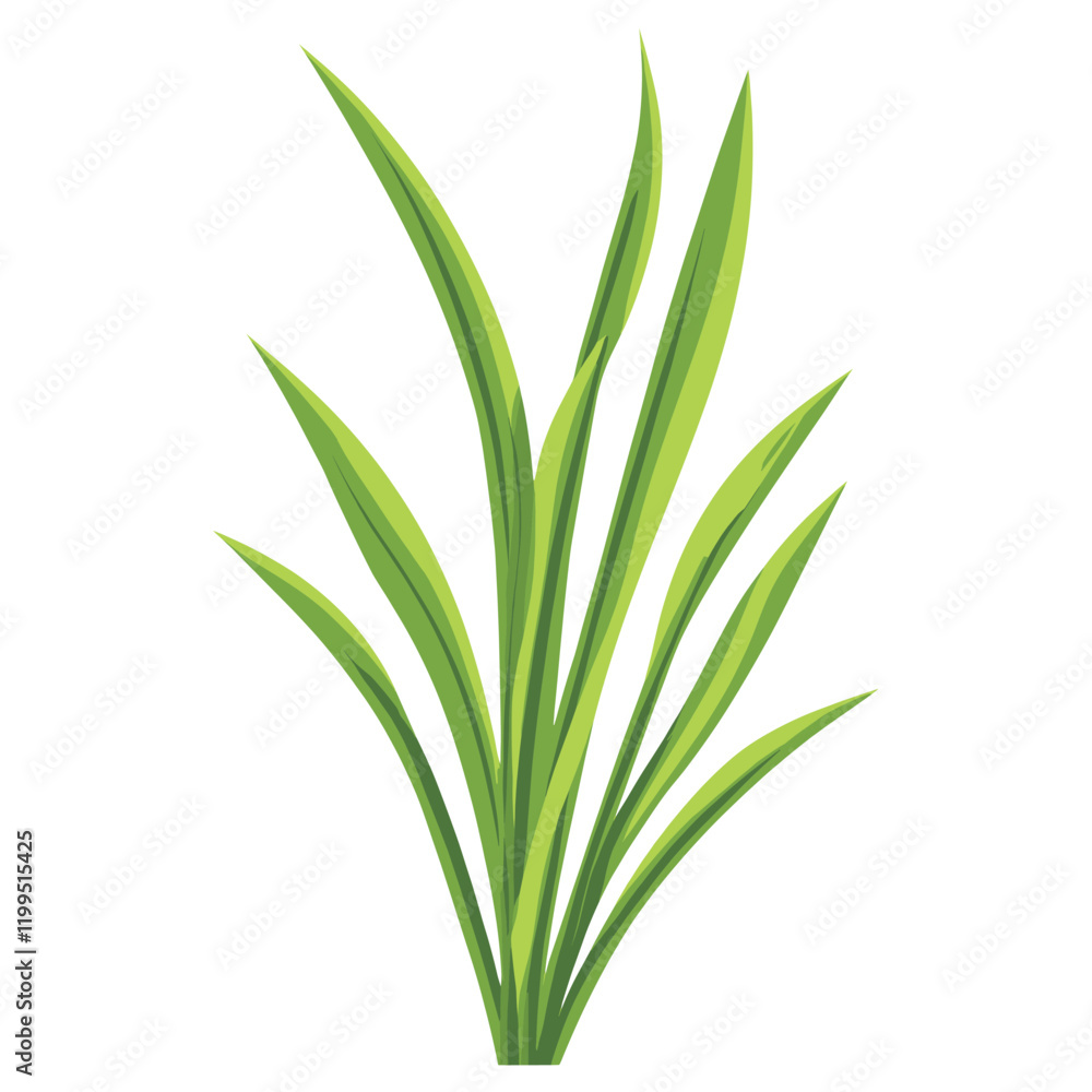 Obraz premium Culinary green onion herb leaf illustration design vector