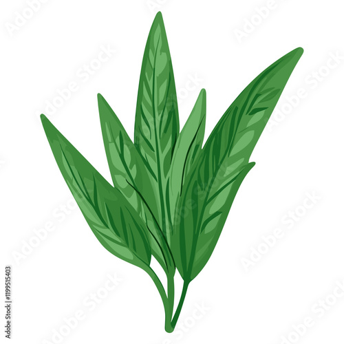 Culinary Herbs leaf Icons herbs illustration herbal vector