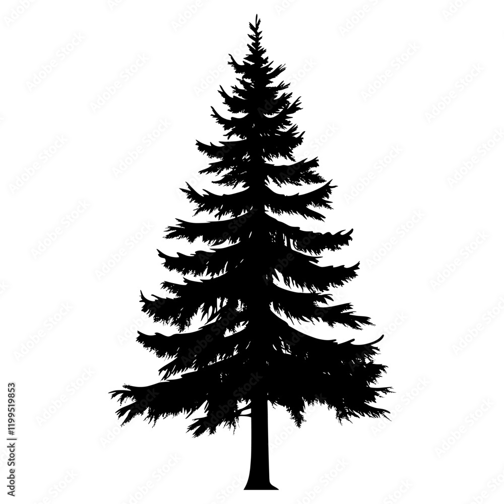 Fototapeta premium Woodland tree silhouette illustration evergreen vector