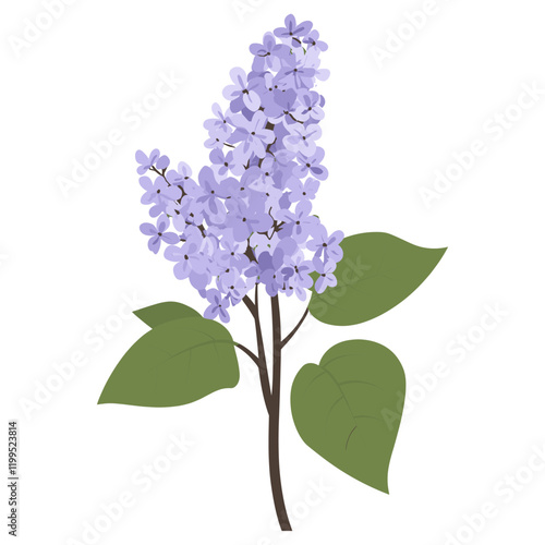 Lilac flower lilac illustration vector