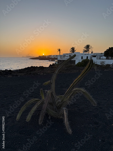 Stunning sunset view of black sand volcanic landscape, Stenocereus alamosensis cactus plant and Atlantic ocean coast landscape on Lanzarote island photo