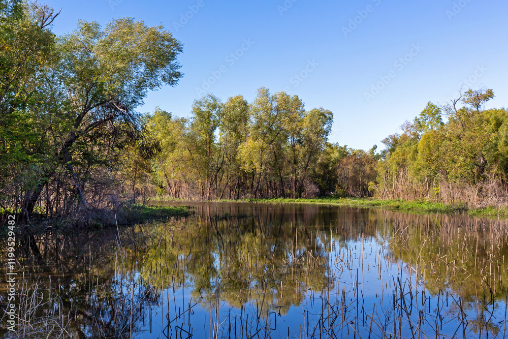 Landscape of the Marais Temps Clair wetland conservation area in Saint Charles County Missouri Landscape of the Marais Temps Clair wetland conservation area in Saint Charles County Missouri