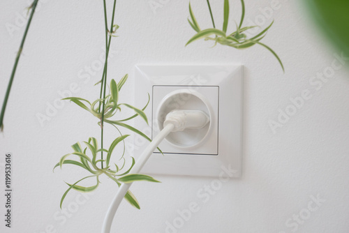 White electric plug and green plant hanging from white wall symbolizing green energy