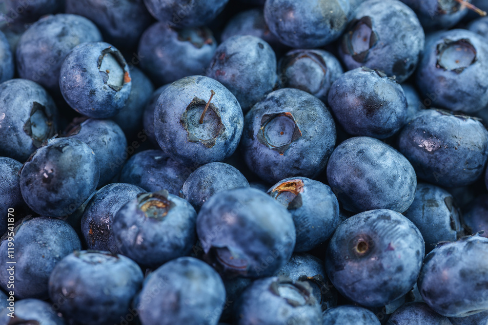 Blueberry berry background with water drops. Macro texture of blueberries. Fresh blueberry background. Drops of water on ripe bilberries. Healthy organic eating concept. Blue bilberry close-up.