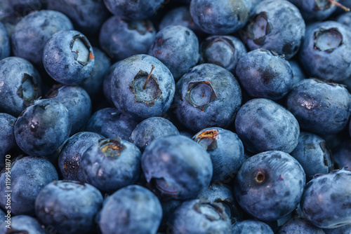 Obraz na płótnie Blueberry berry background with water drops. Macro texture of blueberries. Fresh blueberry background. Drops of water on ripe bilberries. Healthy organic eating concept. Blue bilberry close-up. w salonie