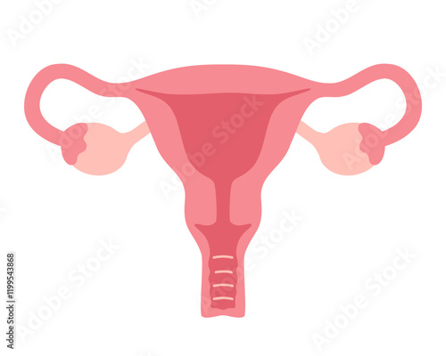 Female uterus illustration in flat style.