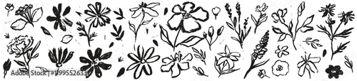 Flower abstract hand drawn brush ink or chalk stroke. Sketch hand drawn silhouette floral plant, leaf grunge abstract vector illustration. Simple flower, leaf charcoal, pencil, crayon style elements.