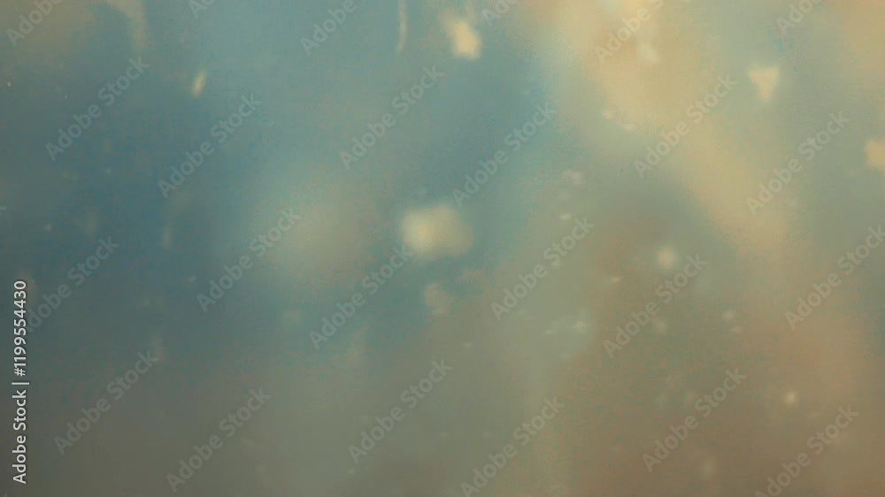 Biological Organism and Microorganism Floating in Water Mixed Background Biological Organism and Microorganism Floating in Water Mixed Background